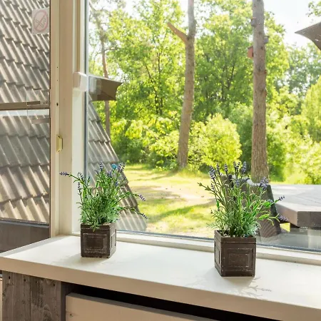 Secluded Holiday Home In Limburg With A Terrace * Stramproy